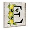 Stupell Industries Lemon & Bee E Letter Canvas Wall Art Design by Creatif Belle
